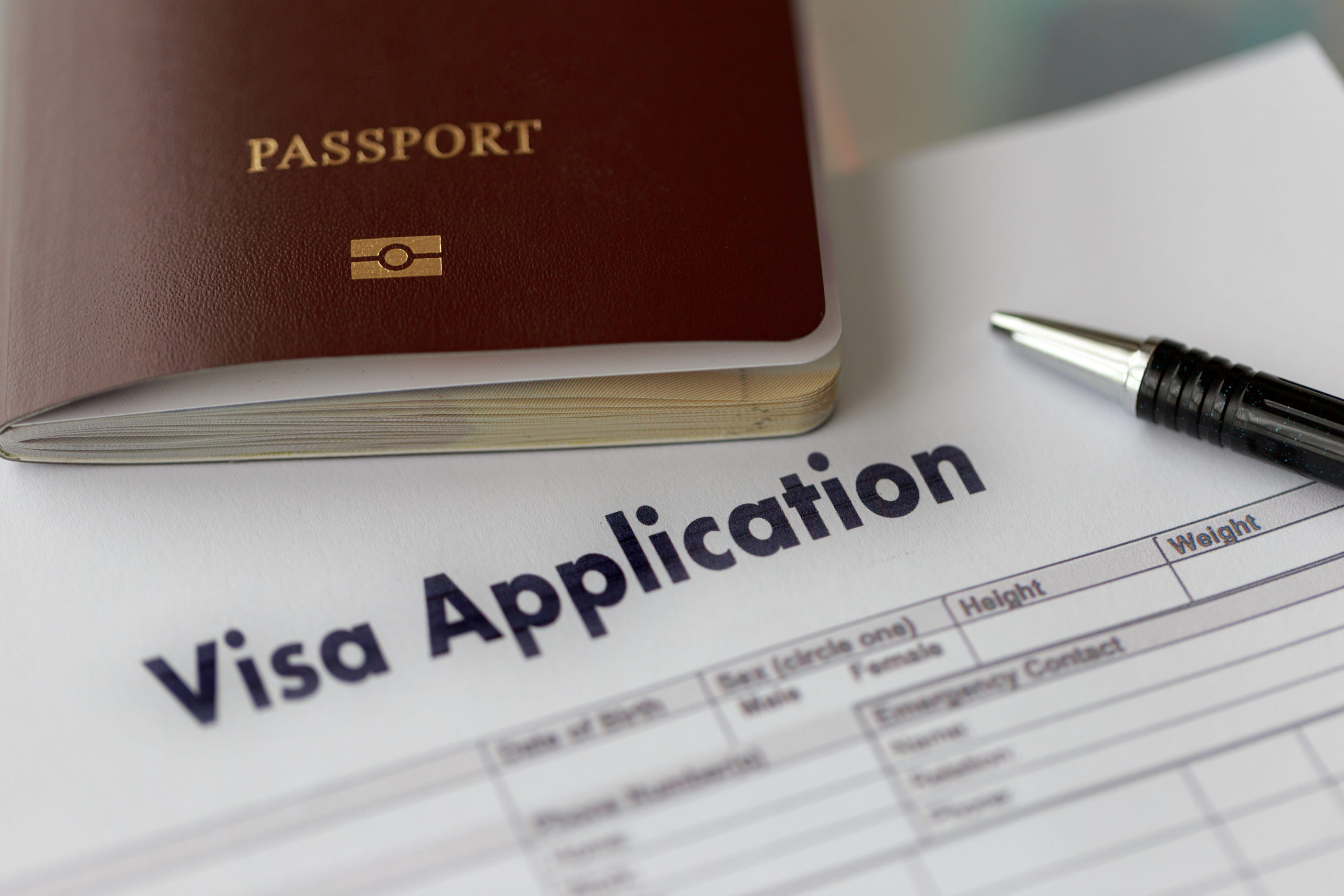 Visa application form to travel Immigration a document